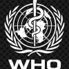 WhatsApp-Image-2024-10-06-at-5.20.10-PM